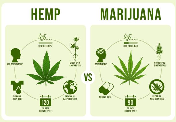 Marijuana Vs. Hemp