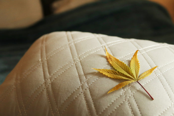 The Soothing Power of CBD for Restful Sleep: Exploring the Benefits and Dosage Recommendations