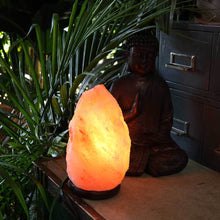 Load image into Gallery viewer, Relaxus - Himalayan Salt Lamp (7kg) - Herba Relief