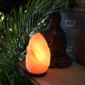 Relaxus - Himalayan Salt Lamp (7kg) - Herba Relief